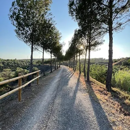 Rural Piedra Apartment *